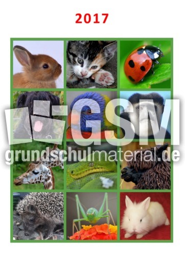 Tier-Kalender_2017_2.pdf